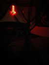 vvickedpeaxh_ Altpins Profile Picture