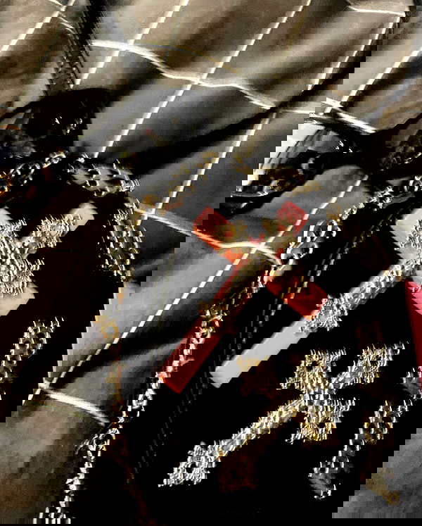 vwnrottie vwnrottie archive image