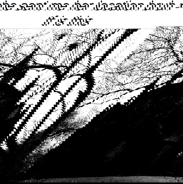 vwnrottie vwnrottie archive image