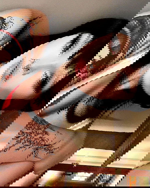 vwnrottie vwnrottie archive image