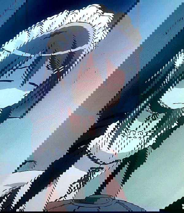 vwnrottie vwnrottie archive image