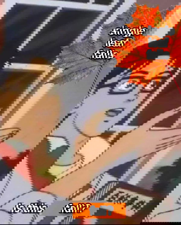 vwnrottie vwnrottie archive image