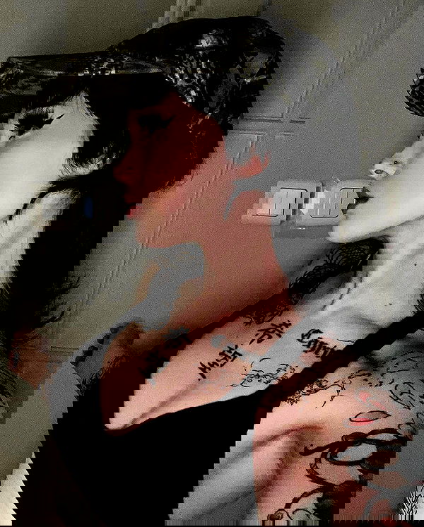 vwnrottie vwnrottie archive image