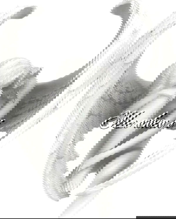 vwnrottie vwnrottie archive image