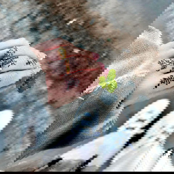 vwnrottie vwnrottie archive image