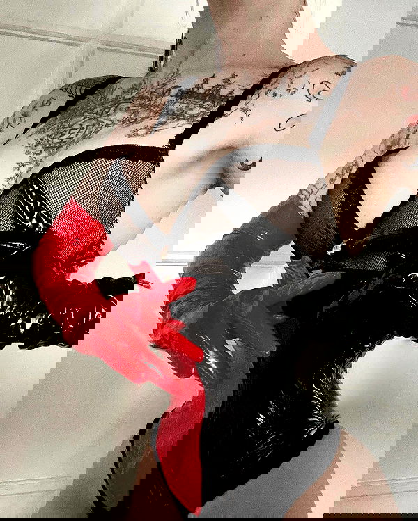 vwnrottie vwnrottie archive image