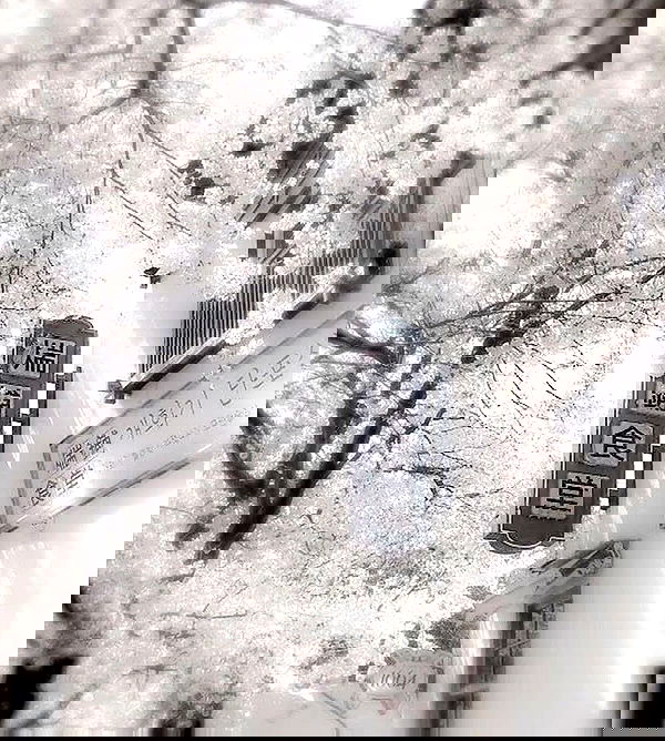 vwnrottie vwnrottie archive image