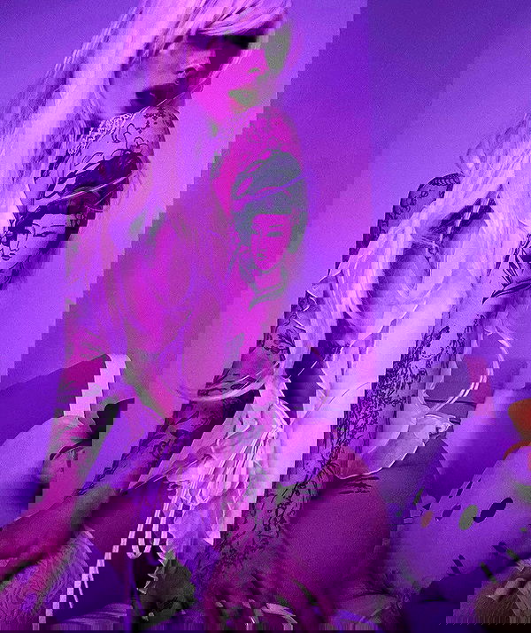 vwnrottie vwnrottie archive image