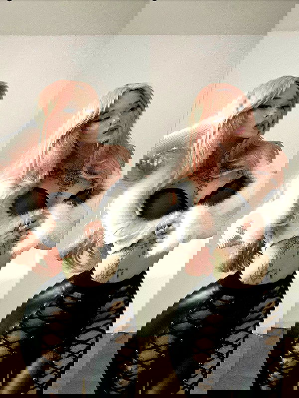 vwnrottie vwnrottie archive image