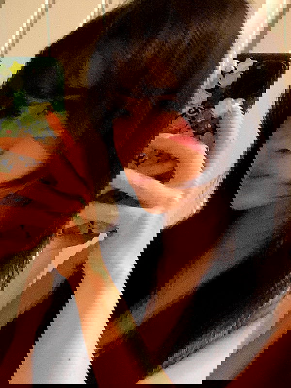 war_hamster6 war_hamster6 archive image