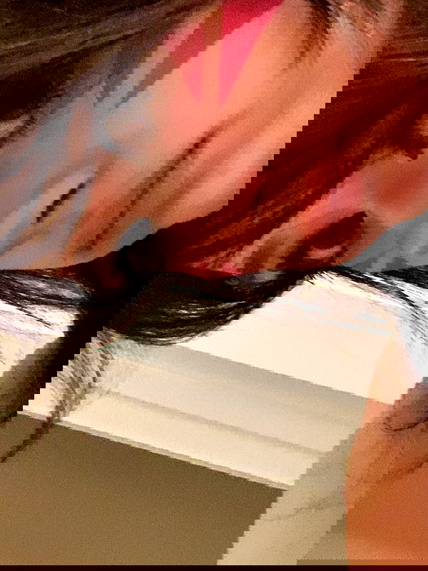 war_hamster6 war_hamster6 archive image