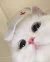 wdmp00_ Altpins Profile Picture