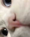 wdmp00_ Altpins Profile Picture