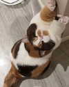 wdmp00_ Altpins Profile Picture