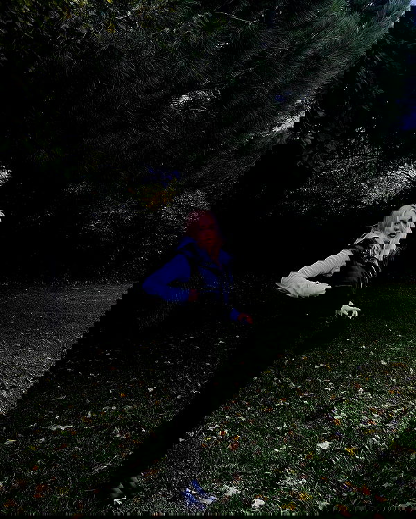 wesidera wesidera archive image