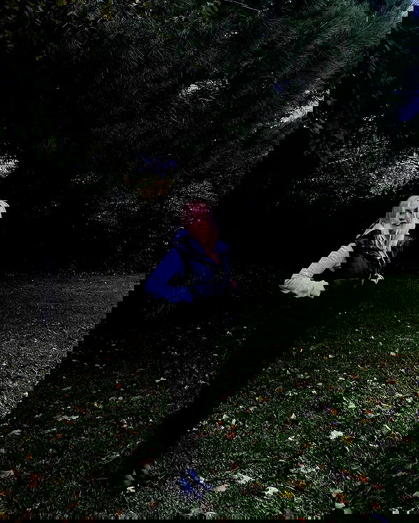 wesidera wesidera archive image