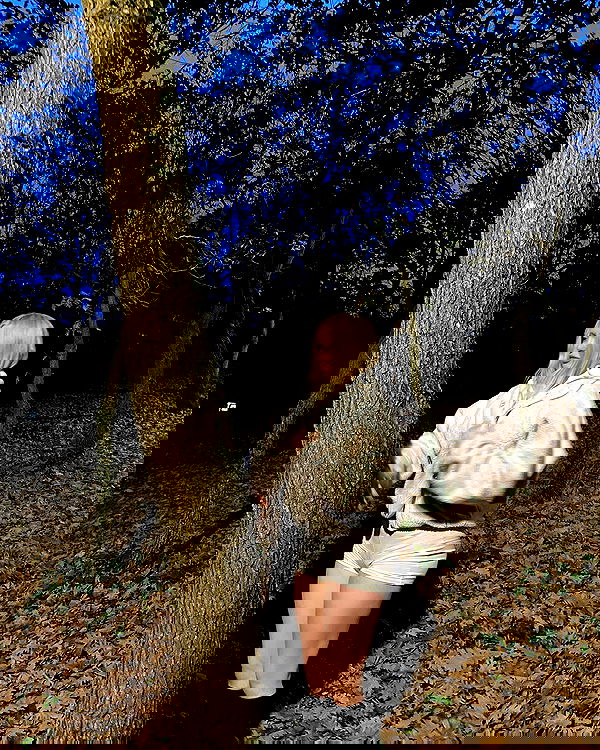 wesidera wesidera archive image