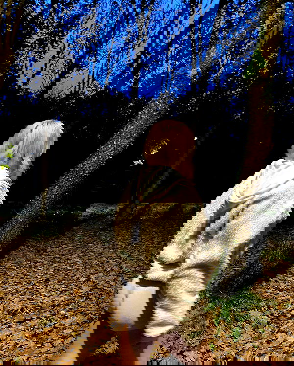 wesidera wesidera archive image