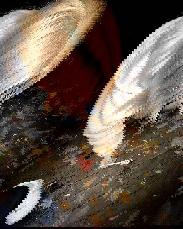 wesidera wesidera archive image