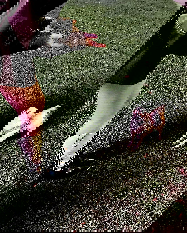 wesidera wesidera archive image