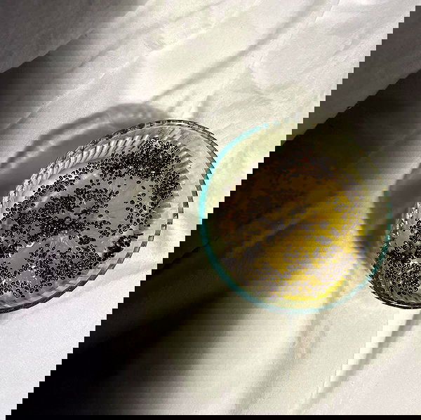 wesidera wesidera archive image