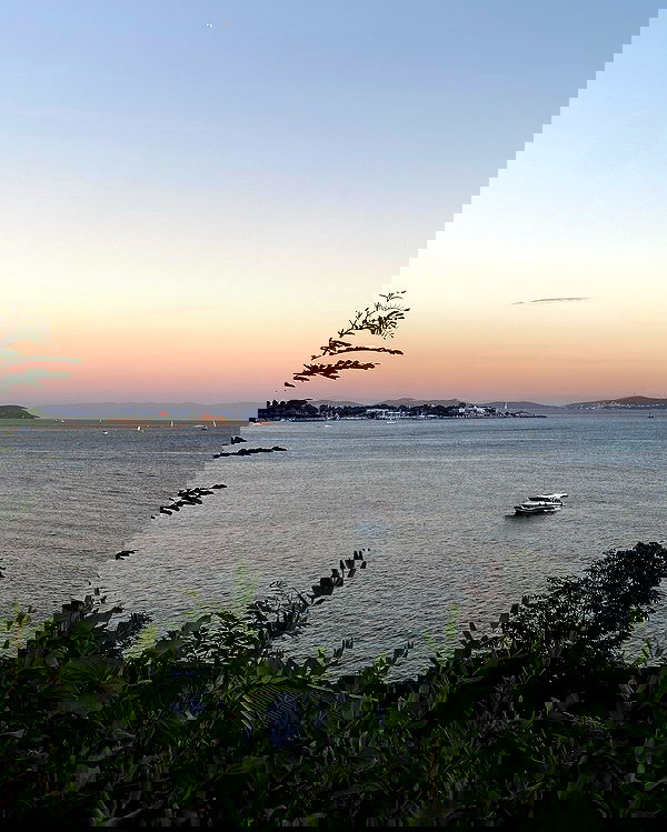 wesidera wesidera archive image