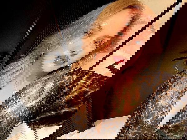 wesidera wesidera archive image