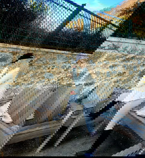 wesidera wesidera archive image