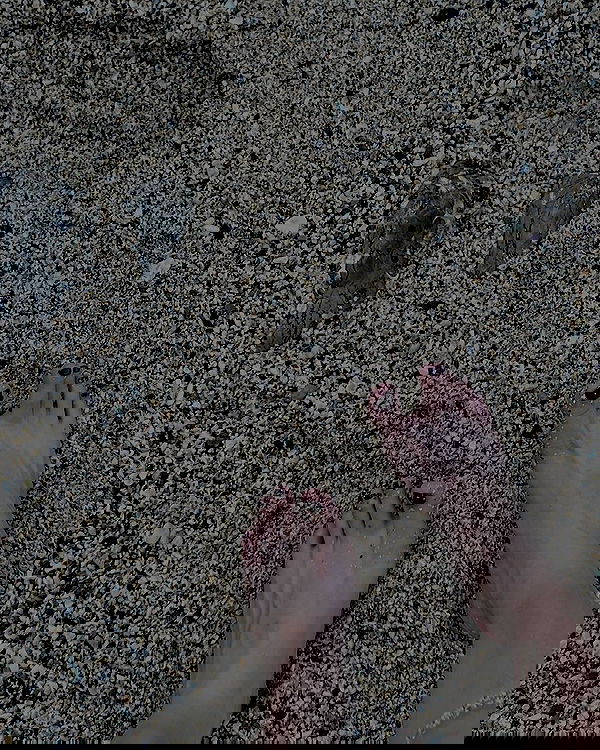 wexii_0612 wexii_0612 archive image