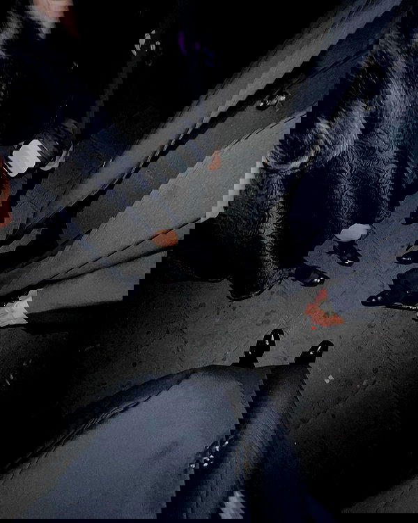 wexii_0612 wexii_0612 archive image