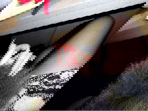 wexii_0612 wexii_0612 archive image