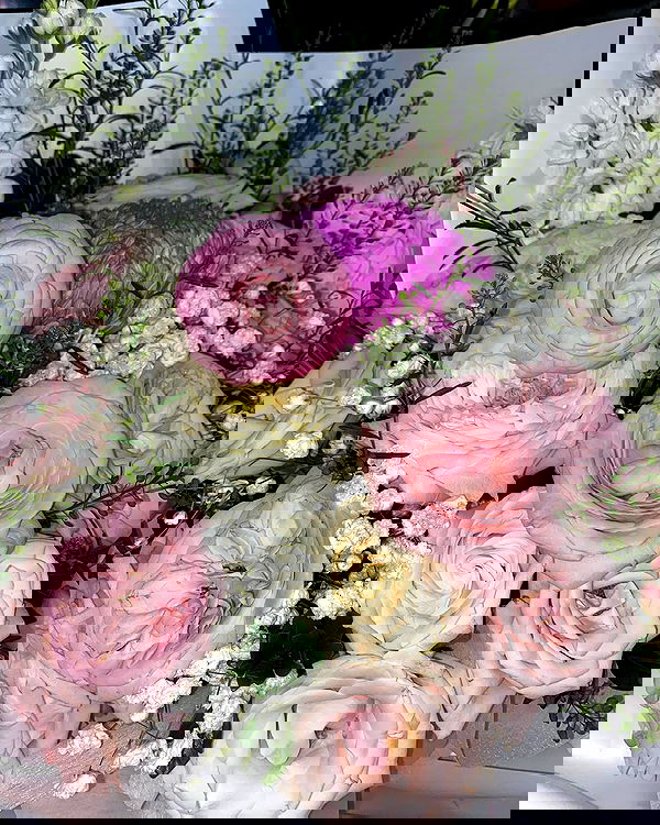 wexii_0612 wexii_0612 archive image