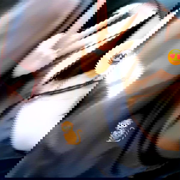 wexii_0612 wexii_0612 archive image