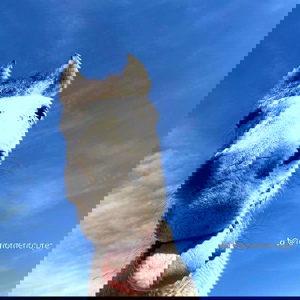 wexii_0612 wexii_0612 archive image