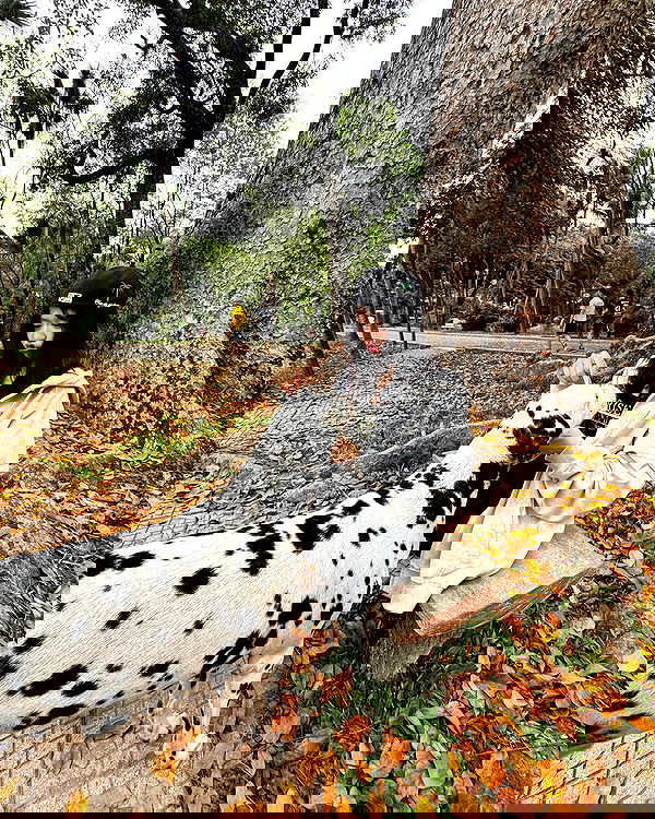 wexii_0612 wexii_0612 archive image