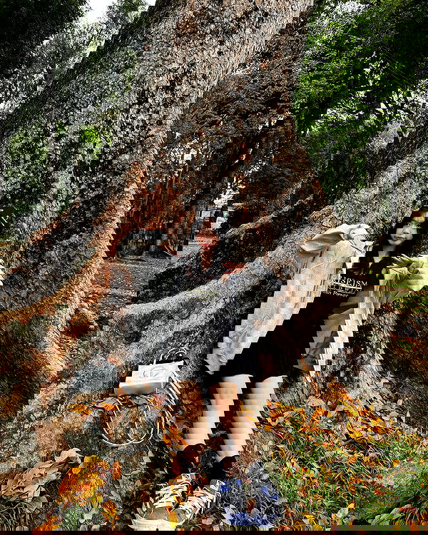 wexii_0612 wexii_0612 archive image