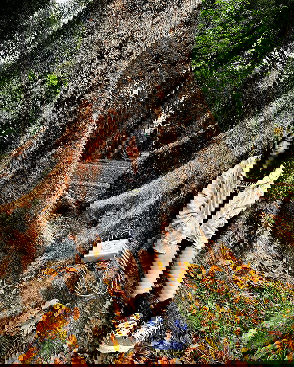 wexii_0612 wexii_0612 archive image