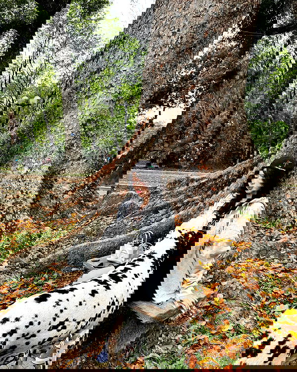 wexii_0612 wexii_0612 archive image