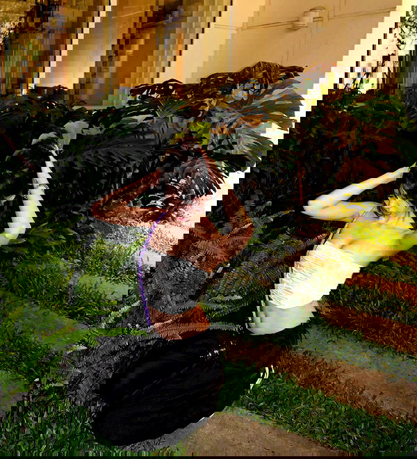 wexii_0612 wexii_0612 archive image