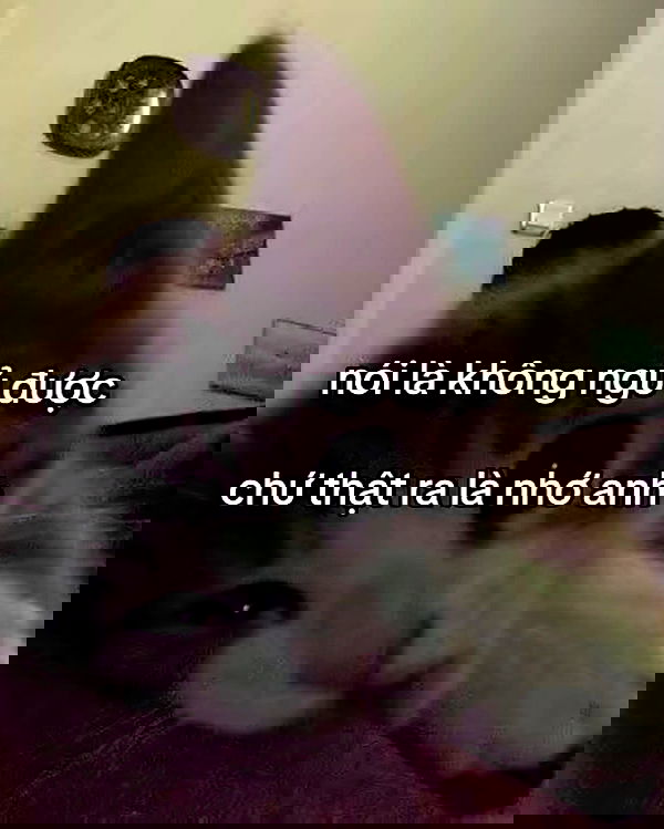 wexii_0612 wexii_0612 archive image