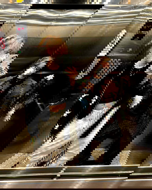 wexii_0612 wexii_0612 archive image