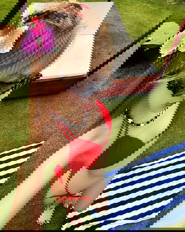 wexii_0612 wexii_0612 archive image