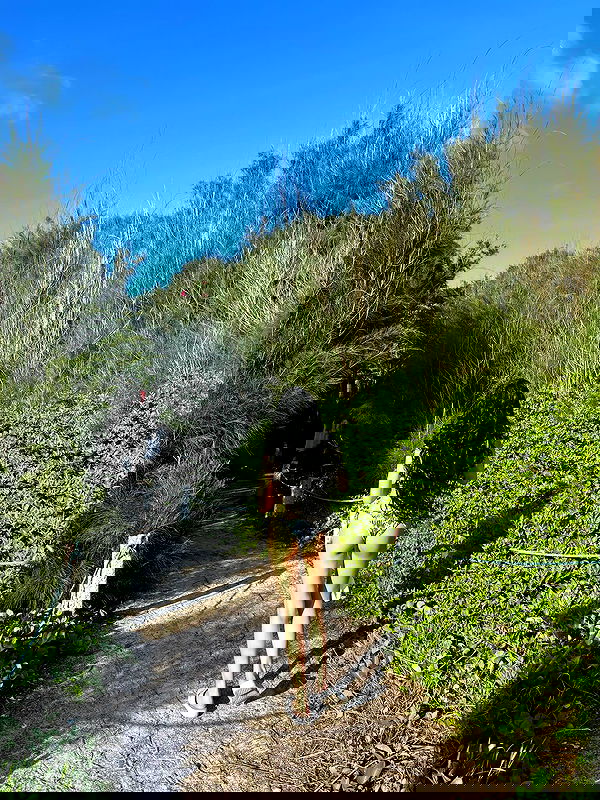 wexii_0612 wexii_0612 archive image