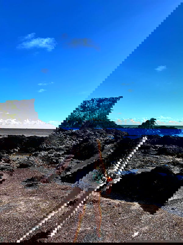 wexii_0612 wexii_0612 archive image