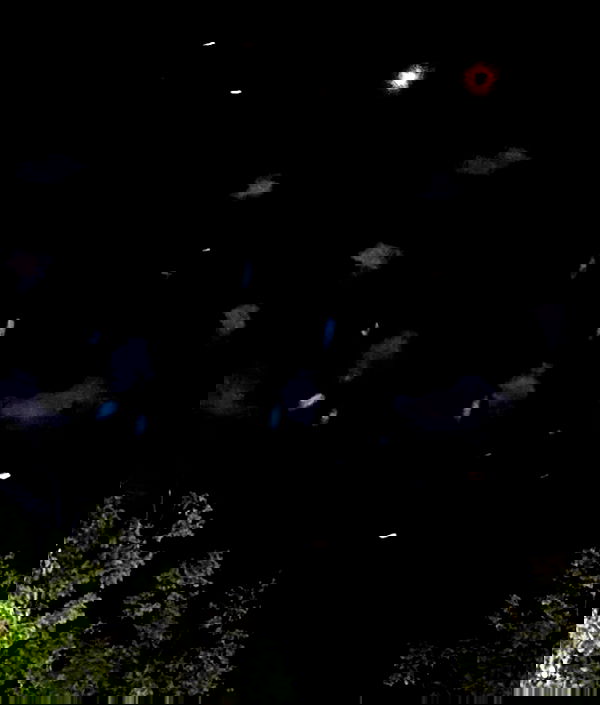 whylollycry whylollycry archive image