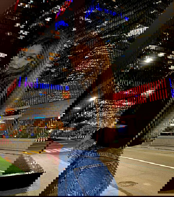 whylollycry whylollycry archive image