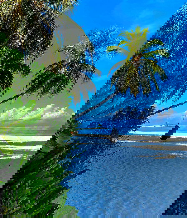 whylollycry whylollycry archive image