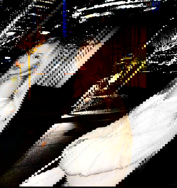 whylollycry whylollycry archive image