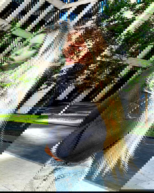 whylollycry whylollycry archive image