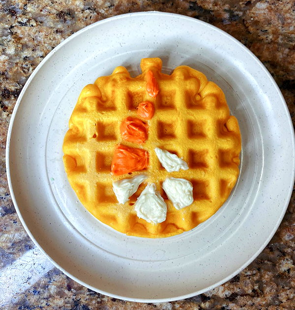 willitwafflemini instagram image archive image